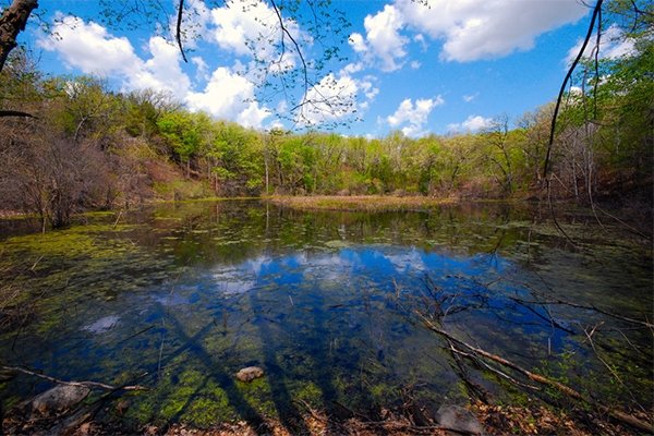 View of a lake in the Midwest