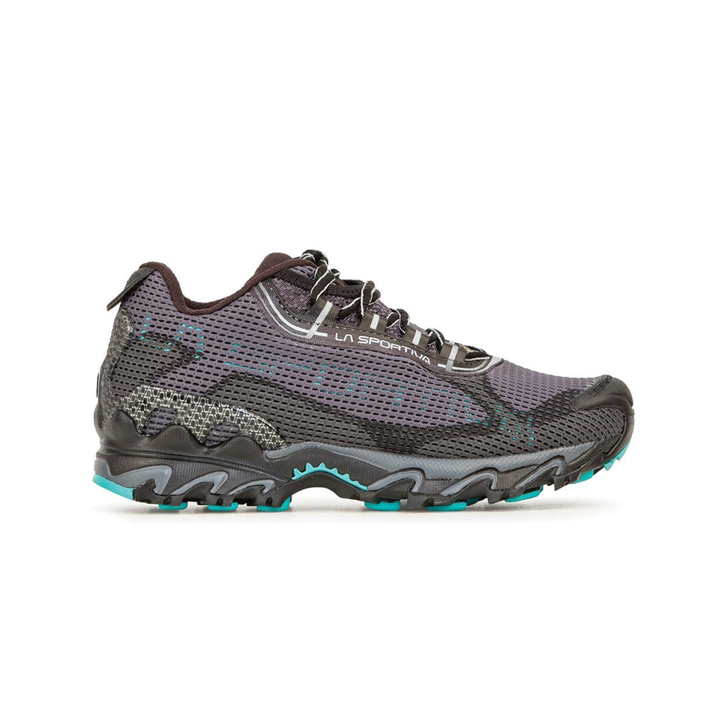 Wildcat 2.0 GTX Women's (2023) Carbon/Aqua Alt View #1
