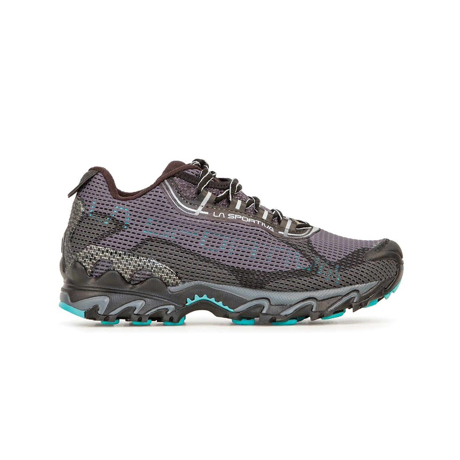 Wildcat 2.0 GTX Women's (2023) Carbon/Aqua