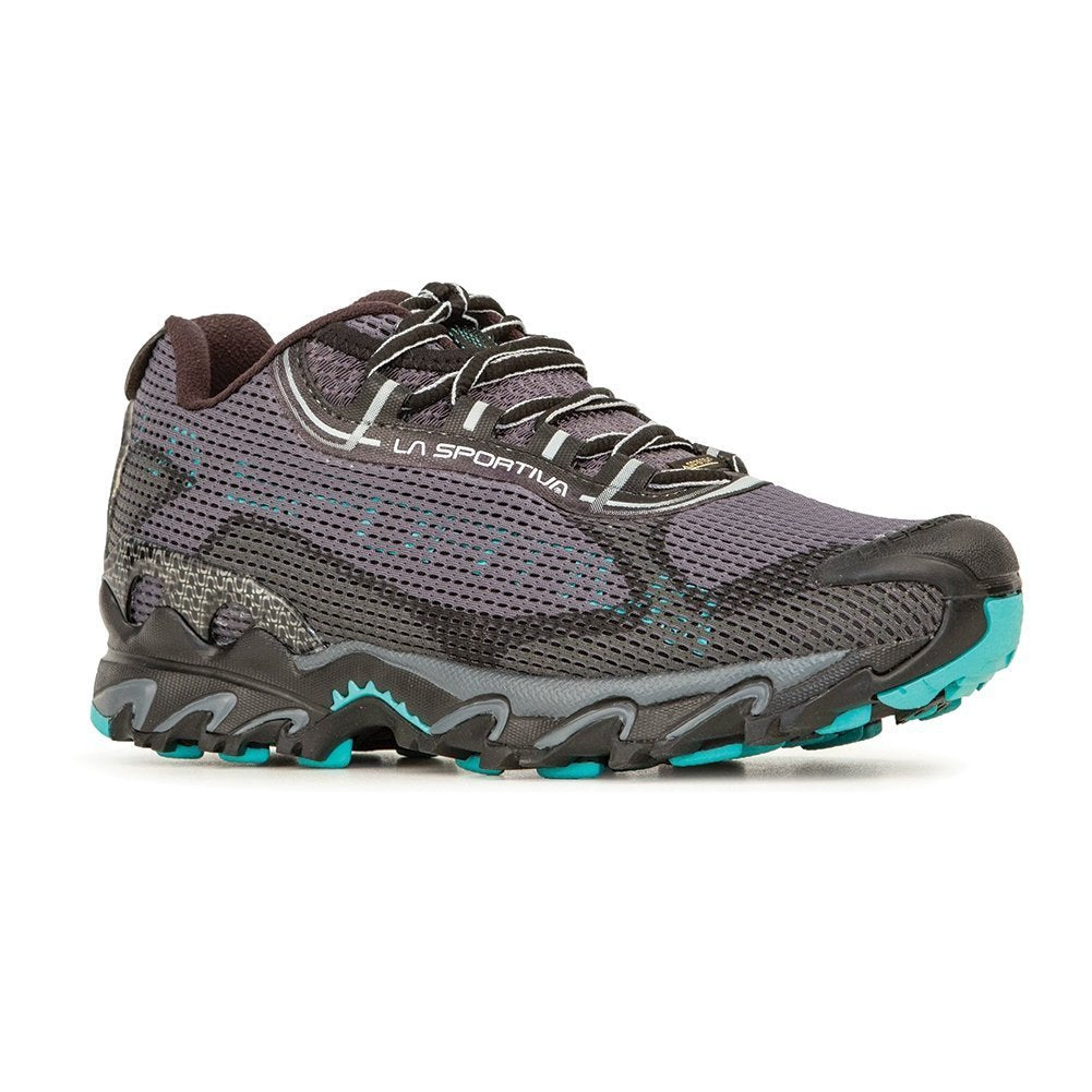 Wildcat 2.0 GTX Women's (2023) Carbon/Aqua Alt View #2
