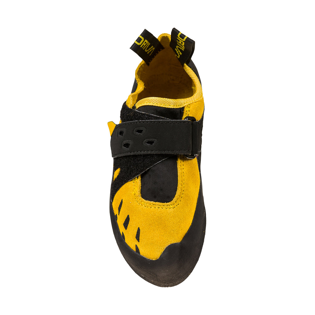 Tarantula Jr Yellow/Black Alt View #4
