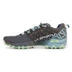 Bushido II GTX Women's Carbon/Mist Alt View #7