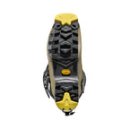 Vanguard Turtle/Yellow Alt View #3