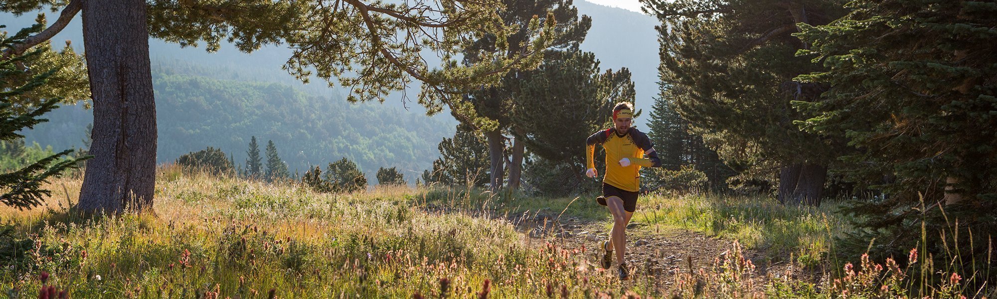 Person running on a trail in a mountainous forest