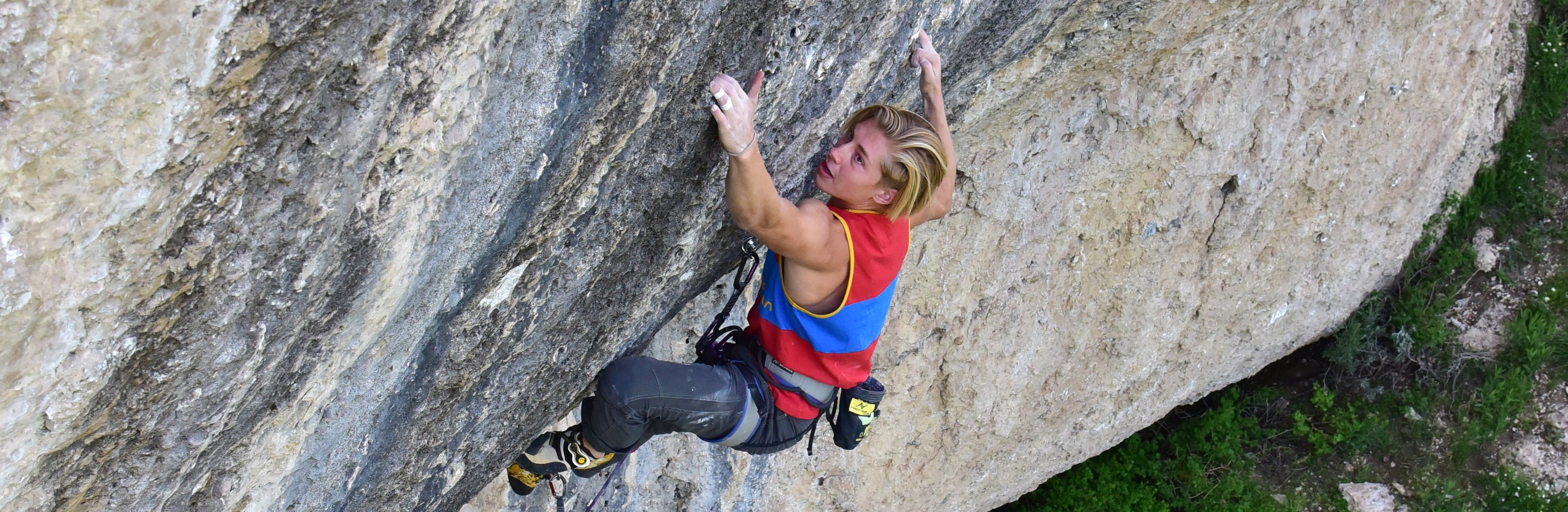 A person wearing a red and blue tank top climbs a steep, rocky cliff, gripping holds with chalked hands. They are secured with a climbing harness and gear, with green foliage visible far below.