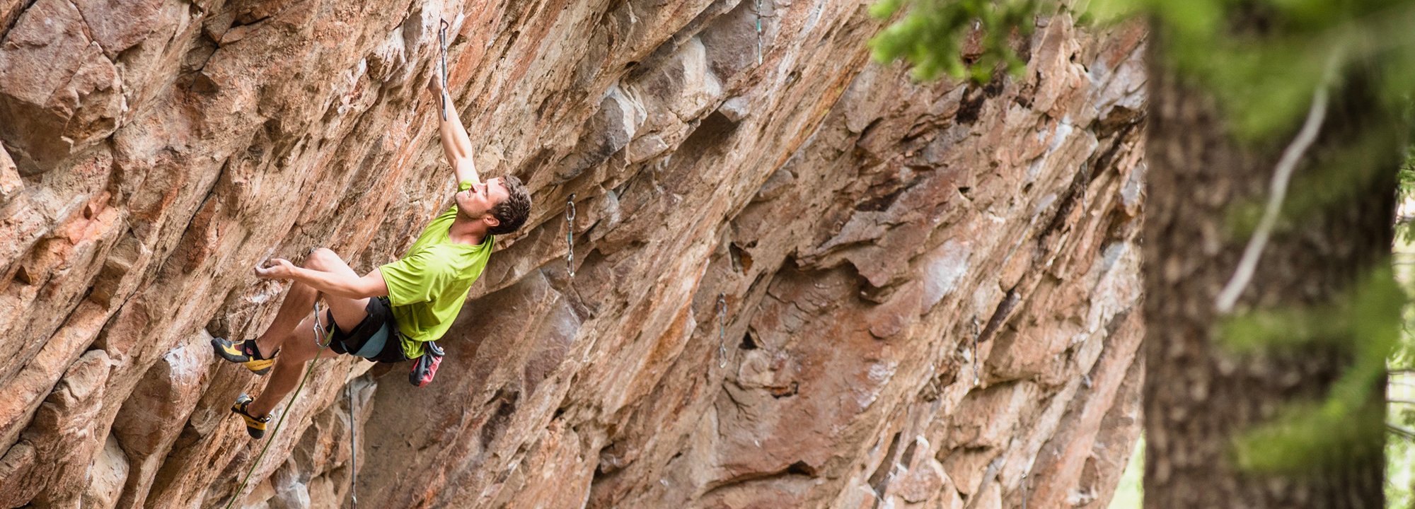 A person in a bright green shirt and climbing gear scales a steep, rocky cliff face outdoors, reaching upward with one hand. Pine tree branches are visible in the foreground on the right.