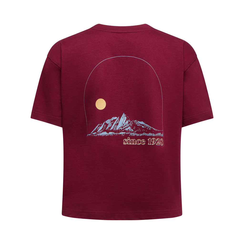 Trilogy Crop T-Shirt Women's Redwood/Limestone Alt View #4
